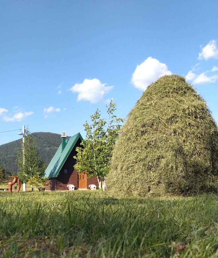 Villa Etno Koliba Nikoleta Žabljak Exterior foto